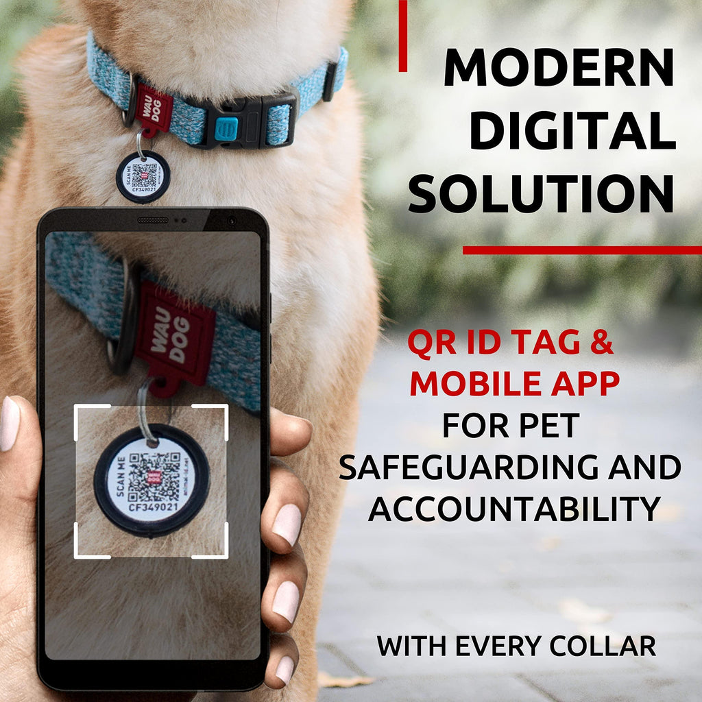 Blue Reflective Cotton Dog Collar Eco Friendly for Medium Dogs 10 -16 Inch Neck