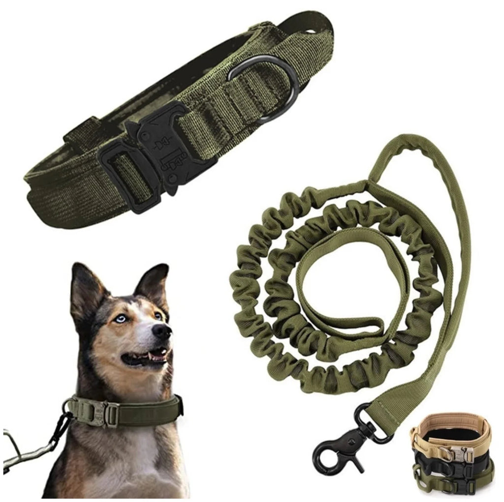 2-In-1 Dog Collar with Retractable Leash for Walking & Training