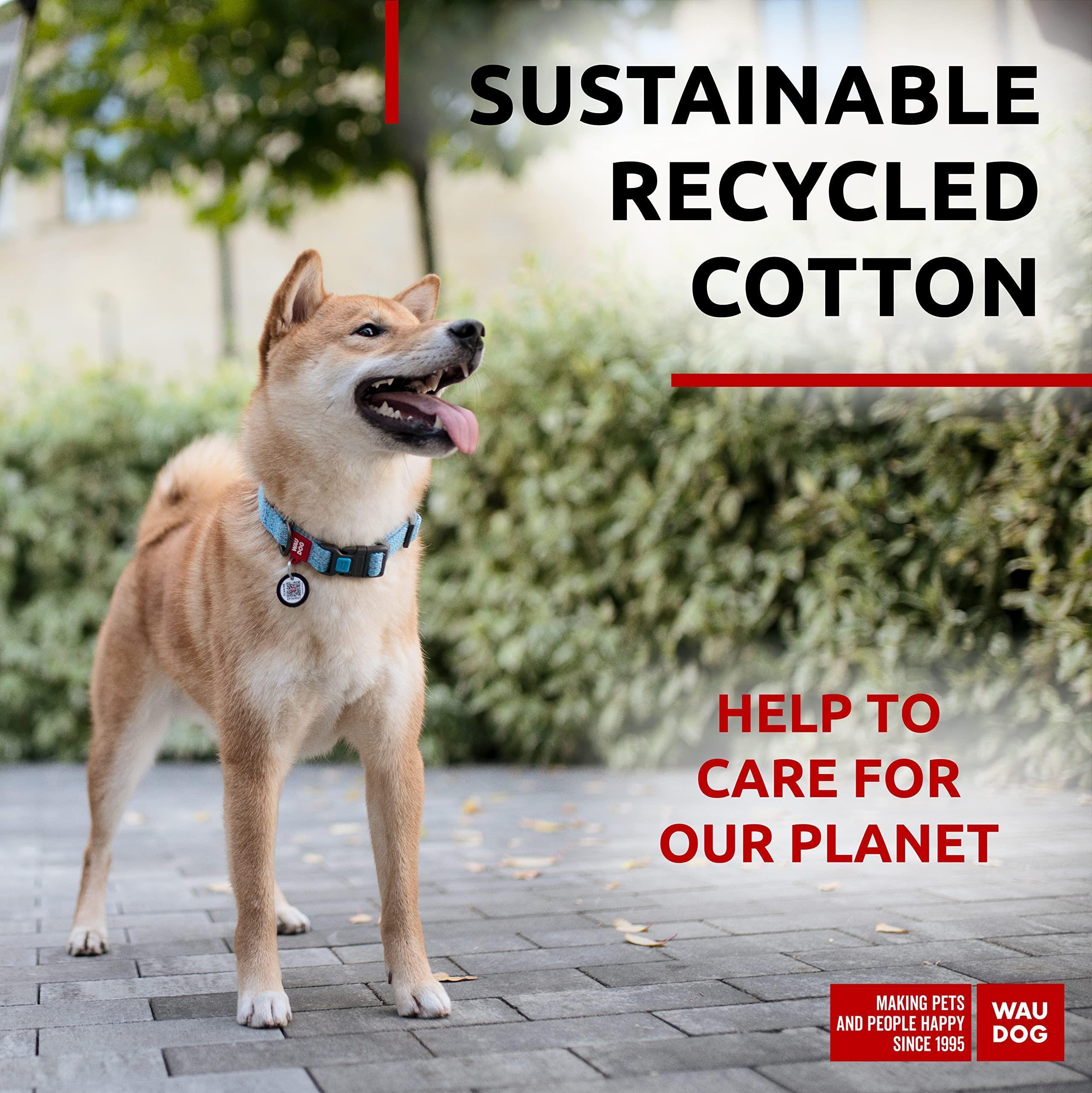 Blue Reflective Cotton Dog Collar Eco Friendly for Medium Dogs 10 -16 Inch Neck